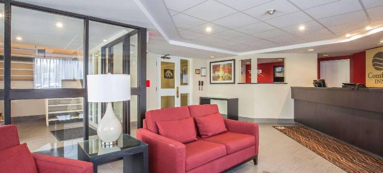 皮克林舒适酒店(Comfort Inn)图片