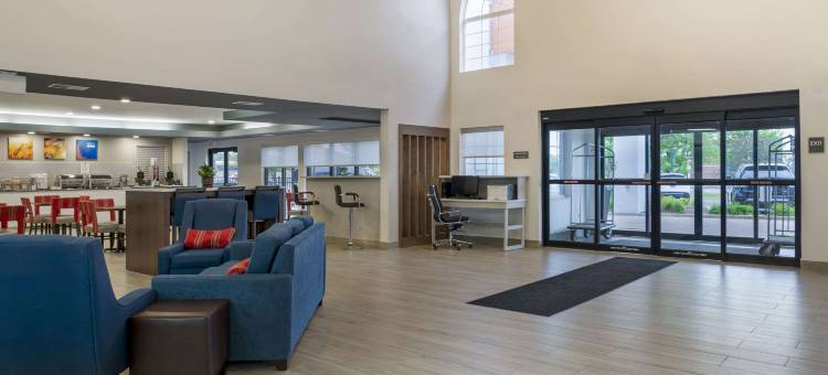 舒适套房酒店(Comfort Suites)图片