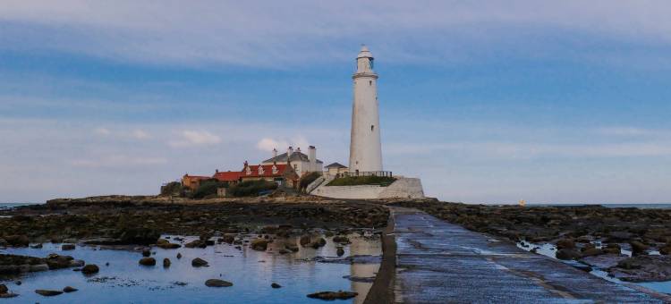 Holiday Inn 泰恩河畔纽卡斯尔(Holiday Inn Newcastle - Gosforth Park)图片