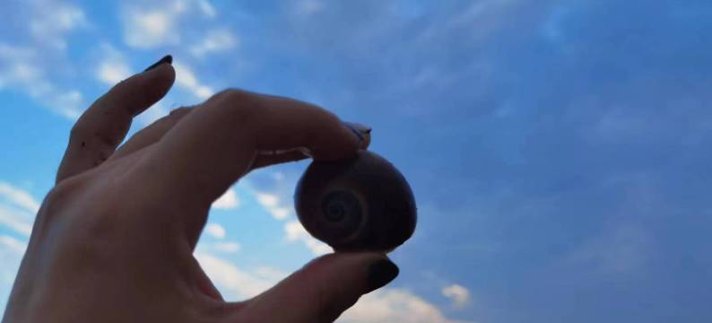 蓝天白云海景民宿(金沙滩路1号分店)图片