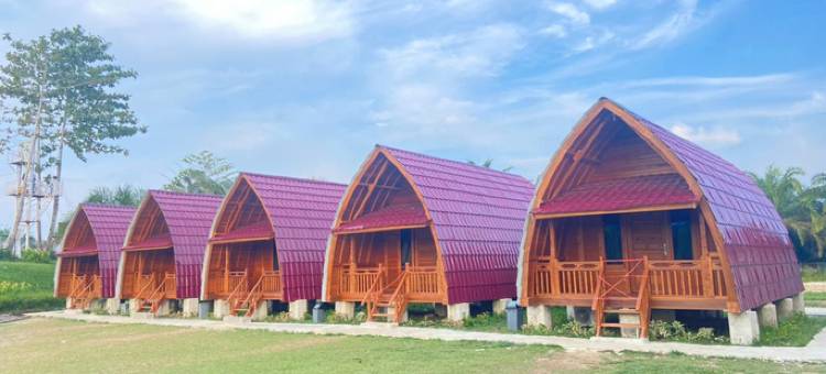 Alinia Park and Resort图片