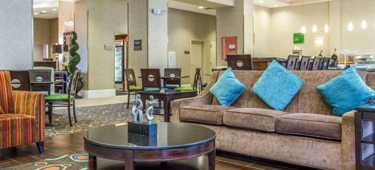 佛伦伦萨I-95舒适套房酒店(Comfort Suites Florence I-95)图片