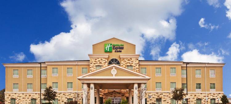 智选假日套房酒店布雷迪 by IHG(Holiday Inn Express & Suites Brady by IHG)图片