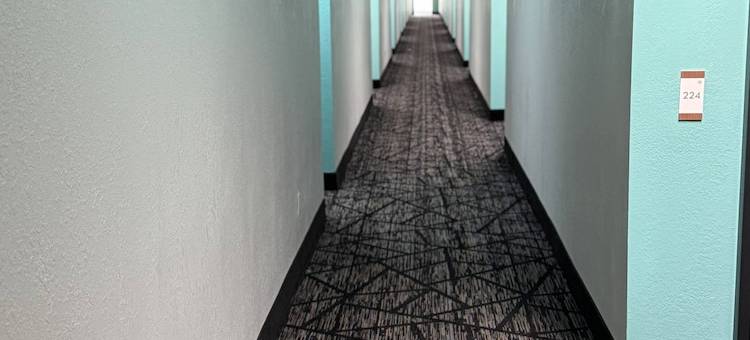 伊克诺旅馆(Econo Lodge Lavonia I-85)图片