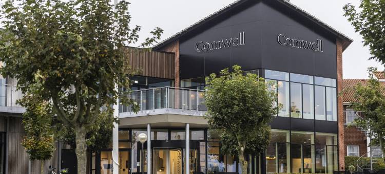 米泽尔法特克伦威尔酒店(Comwell Middelfart)图片