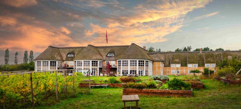 索勒索恩伙伴酒店(Thon Partner Hotel Sorø)图片