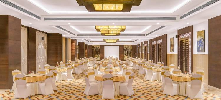 Lemon Tree Premier Dwarka(飞燕树酒店·德瓦卡分店)(Lemon Tree Premier, Dwarka)图片