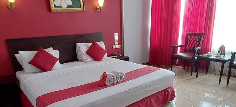 赛梅鲁酒店(Hotel Semeru Bogor)图片