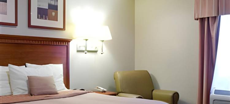 洛杉矶霍索恩Candlewood Suites(Candlewood Suites LAX Hawthorne)图片