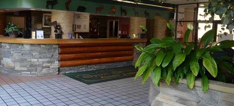 鸽子谷大烟小屋度假村(Grand Smokies Resort Lodge Pigeon Forge)图片