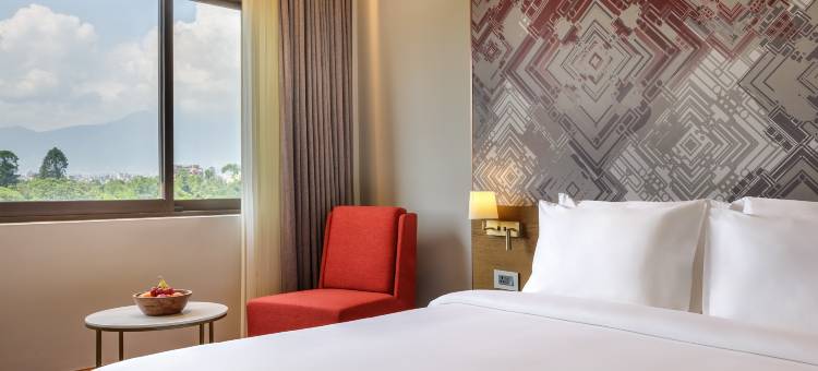 都喜公主加德满都(Dusit Princess Kathmandu)图片