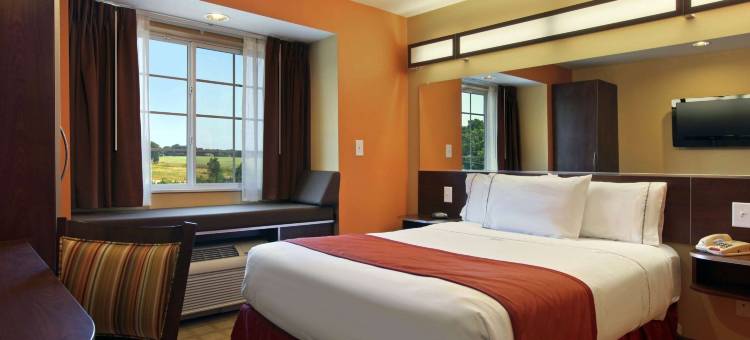 安德森-克莱姆森温德姆麦客达套房酒店(Microtel Inn & Suites by Wyndham Anderson/Clemson)图片
