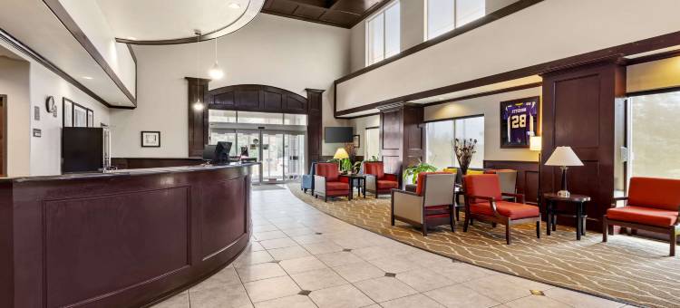 舒适全套房酒店(Comfort Suites)图片