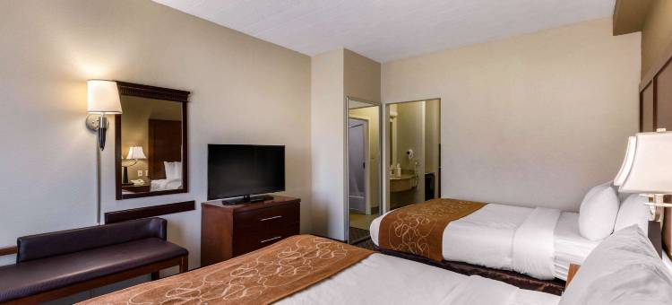 万豪City Express埃尔克里奇酒店(City Express by Marriott Elkridge)图片