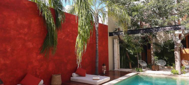 塞尔科泰尔卡萨德拉斯帕洛马斯酒店(Casa de Las Palomas Boutique Hotel by Paloma's Hotels - Adults Only)图片