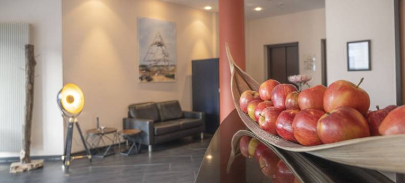 博特罗普莱茵鲁尔酒店(Hotel Rhein-Ruhr Bottrop)图片