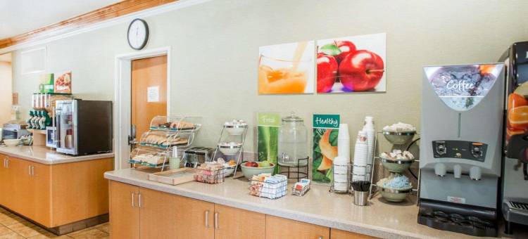 丹佛国际机场凯艺酒店及套房(Quality Inn & Suites Denver International Airport)图片