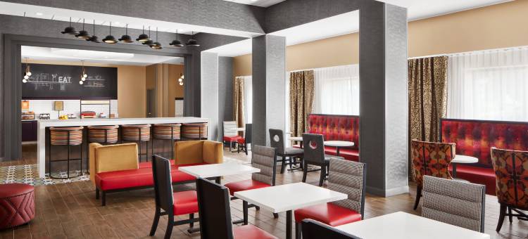 夏洛特斯蒂勒溪希尔顿欢朋套房酒店(Hampton Inn & Suites Charlotte Steele Creek)图片