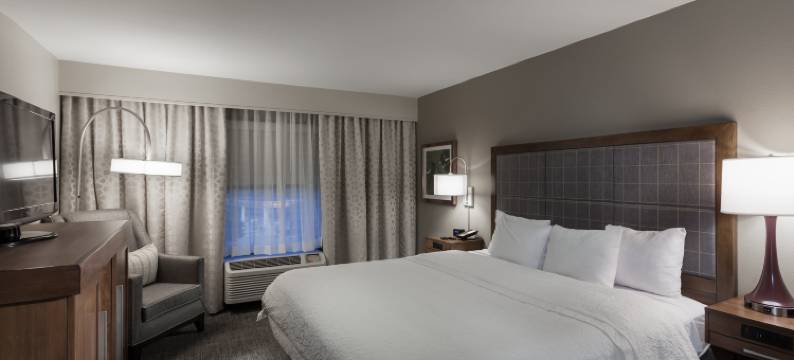 达拉斯DFW机场北葡萄藤欢朋套房酒店(Hampton Inn & Suites Dallas-DFW Airport N/Grapevine)图片