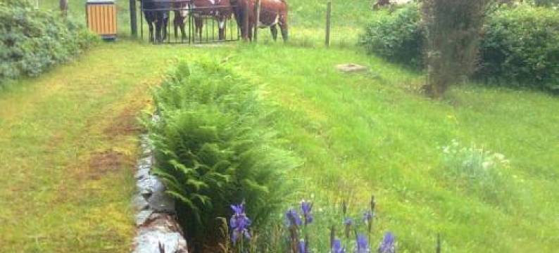 Alone in the Woods with Your Own River Nearby图片