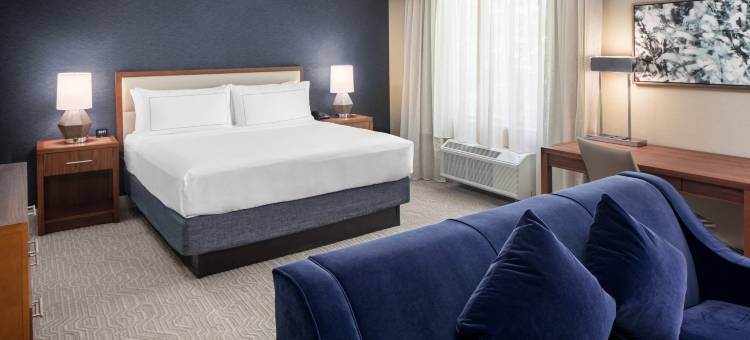 安阿伯北希尔顿逸林酒店(Doubletree by Hilton Ann Arbor North)图片