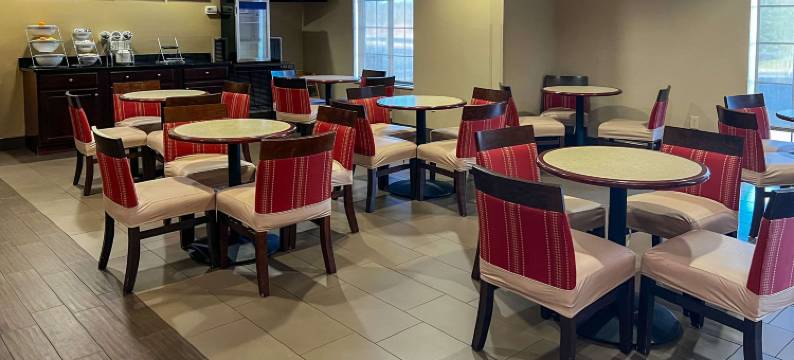 阿塔拉加兹登舒适套房酒店(Comfort Suites Gadsden Attalla)图片