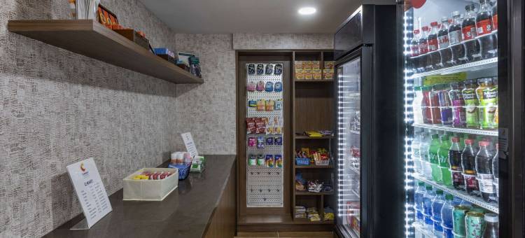 纳什维尔市中心 - 体育馆舒适套房酒店(Comfort Inn & Suites Nashville Downtown - Stadium)图片