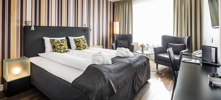 威特第一酒店(First Hotel Witt)图片