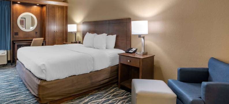 舒适套房酒店-纽华克威尔明顿(Comfort Inn & Suites Newark - Wilmington)图片