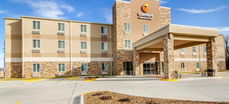 萨莱纳北舒适套房酒店(Comfort Inn & Suites Salina North)图片