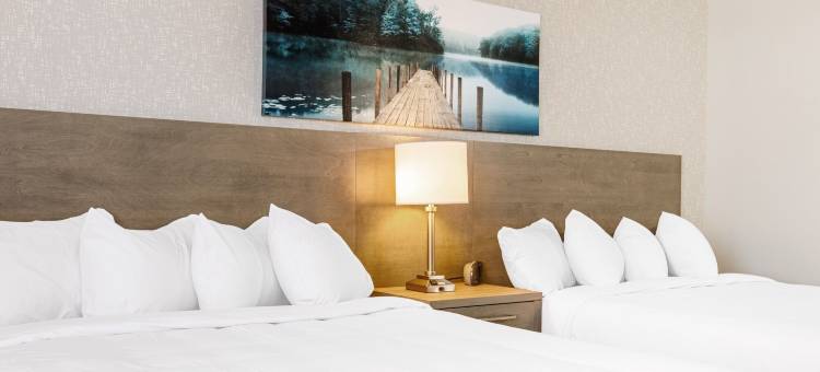 Repotel 魁北克机场酒店(Repotel Aéroport Québec)图片