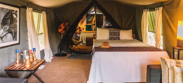 玛霍拉 - 韦帕图生态团队(Mahoora - Wilpattu by Eco Team)图片