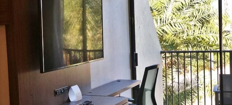 Holiday Inn Express 博卡拉顿，西(Holiday Inn Express Boca Raton-West)图片