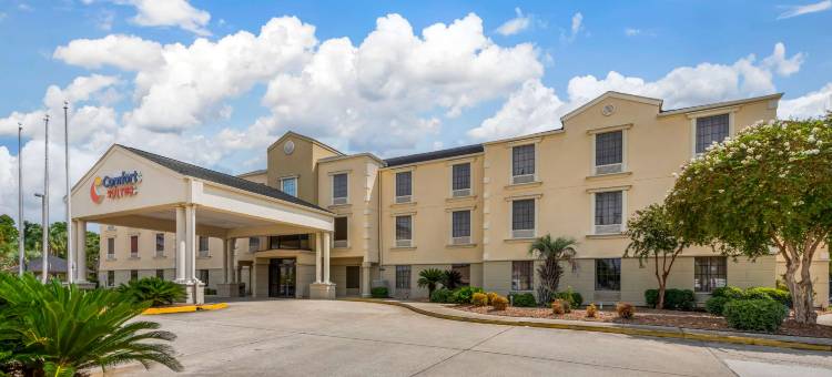 巴吞鲁日艾伦港舒适套房酒店(Comfort Suites Port Allen - Baton Rouge)图片