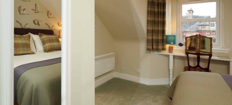 唐赖特加布勒(Downright Gabbler)图片