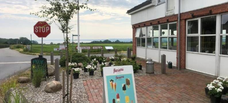 山姆斯特德(Samsted)图片