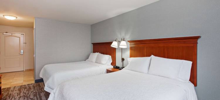 克洛维斯机场北欢朋套房酒店(Hampton Inn & Suites Clovis-Airport North)图片