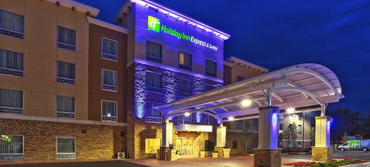 安阿伯西智选假日套房酒店(Holiday Inn Express & Suites Ann Arbor West)图片