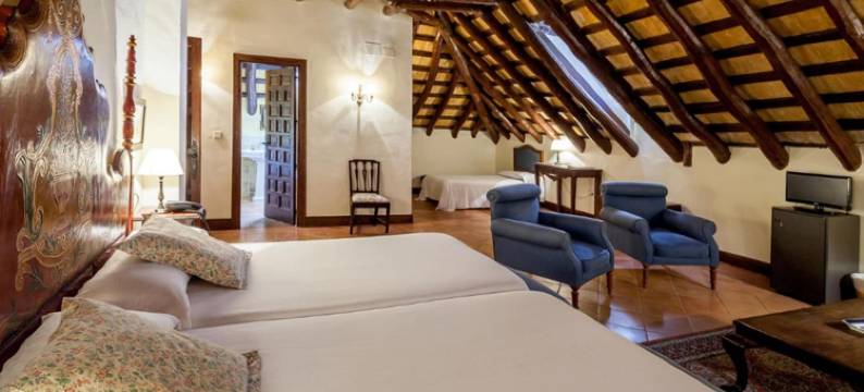 戈梅拉侯爵宫殿酒店(Palacio Marques de la Gomera)图片