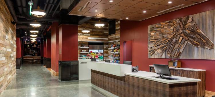 纳什维尔市中心坎布里亚套房酒店(Cambria Hotel Nashville Downtown)图片