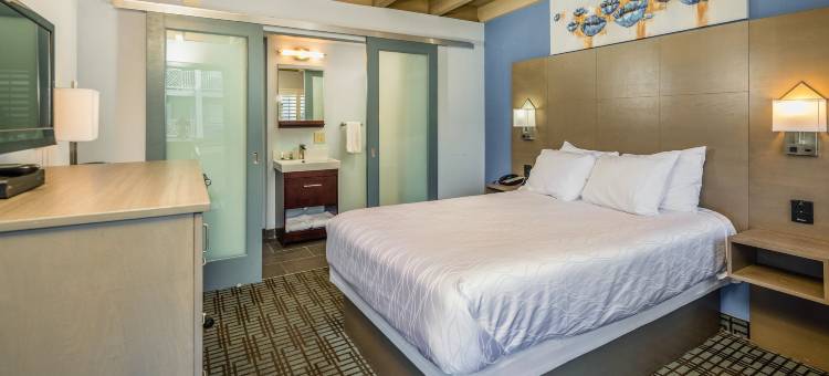 硅谷酒店(Silicon Valley Inn)图片