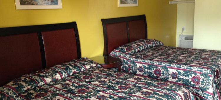 火鹤旅馆(Flamingo Inn)图片