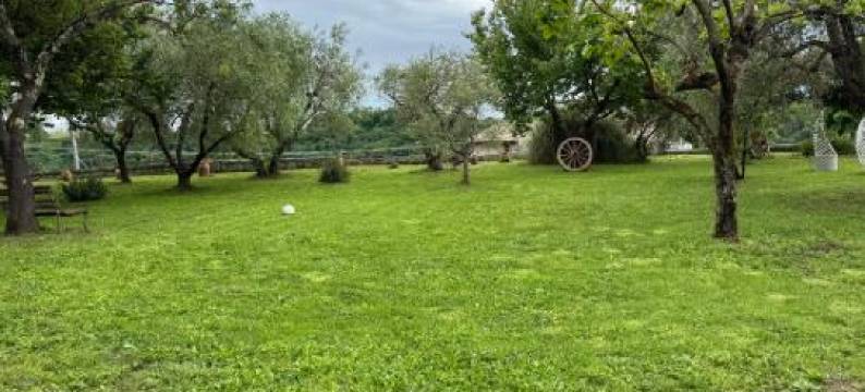 柴考提诺旅馆(Le Camere Del Ceccottino)图片