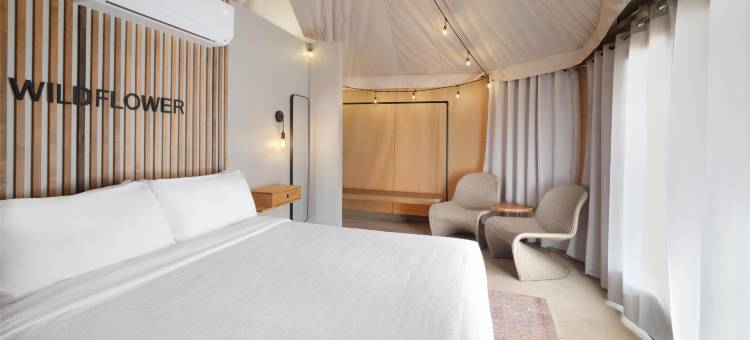 Zion Wildflower, BW Premier Collection图片