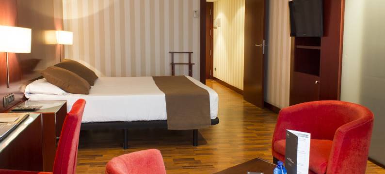 泽尼特莱里达酒店(Zenit Lleida)图片