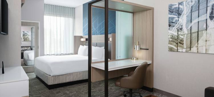 罗利加纳 SpringHill Suites 酒店(SpringHill Suites Raleigh Garner)图片