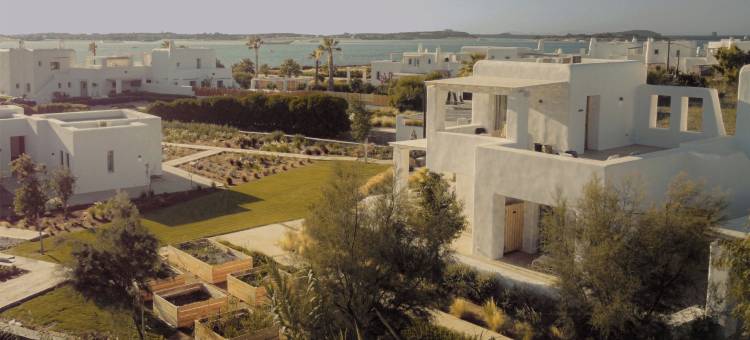 Anapnoe Resort by ParosKite 安娜诺度假村由帕罗斯风筝(Anapnoe Resort by ParosKite)图片