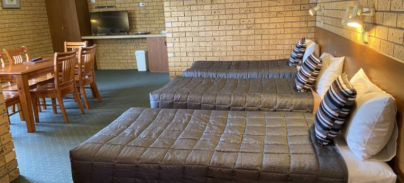 纳兰德拉纽厄尔汽车旅馆(Newell Motor Inn Narrandera)图片