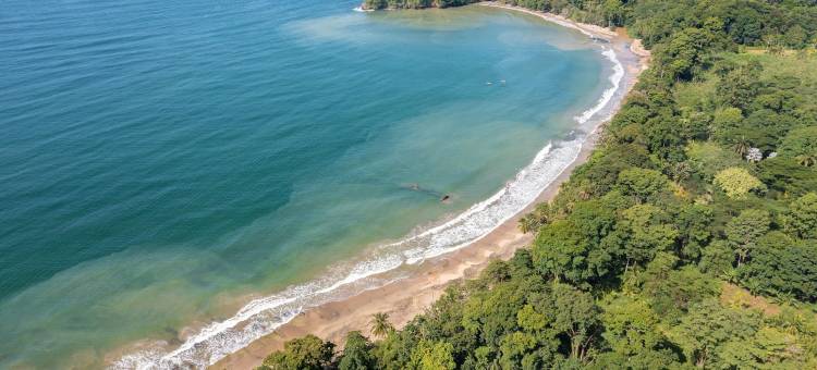 aWà海滩酒店(AWà Beach Hotel)图片