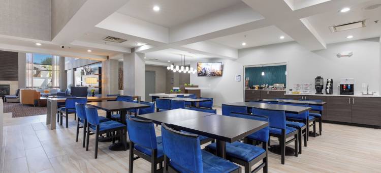 芝加哥埃尔金贝斯特韦斯特优质酒店(Best Western Plus Elgin - Chicago)图片